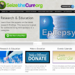 Seizure Site